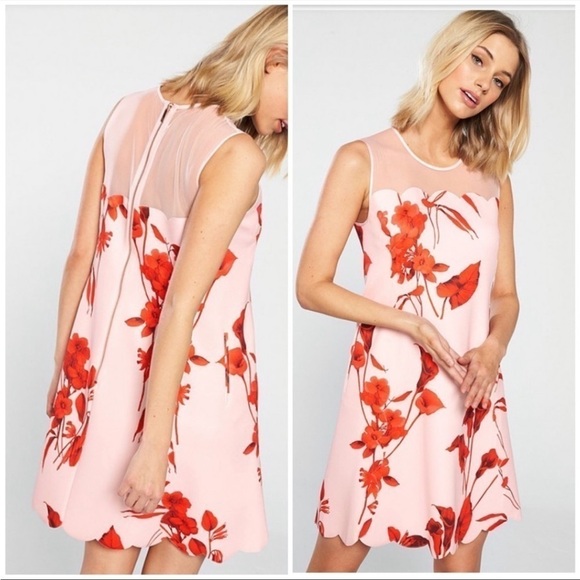 NWT Ted Baker Floral Scalloped Hem Dress size US 10 - Picture 3 of 11